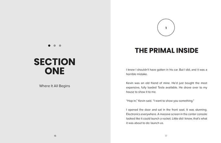 Bundle: 5 Pack of The Seven Primal Questions Book – Mike Foster